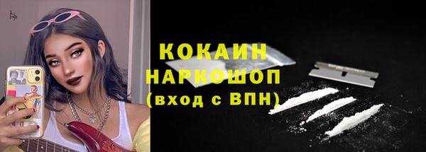 твердый Каменка