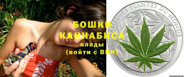 гидропоника Каменногорск