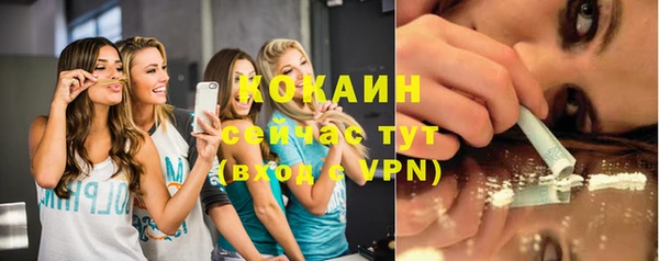 твердый Каменка