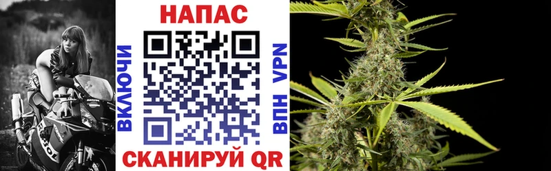 Канабис марихуана  Купить закладки  Высоковск 